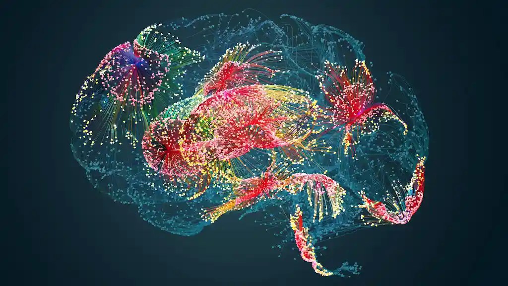 При зрительном восприятии и мысленном воображении активируются одни и те же нейроны